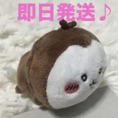 ちいかわ ねそべり マスコット カブトムシ 激レア 価格高騰中！早い者勝ち