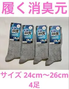 ③履く消臭元 サイズ 24cm～26cm 4足