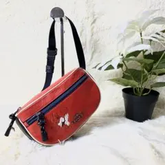【極美品】限定 コーチ coach ミッキー ディズニー ボディバッグ