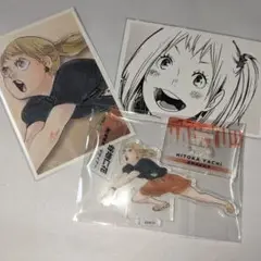 ハイキュー!!谷地仁花セット バラ売り可