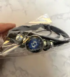 星座 ブレスレット 魚座