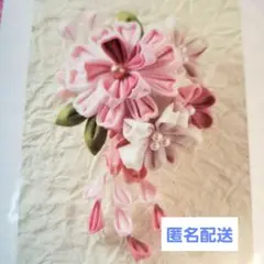 Item thumbnail for item 1d58a2ad-07b5-44f4-bb30-6f9da5455943