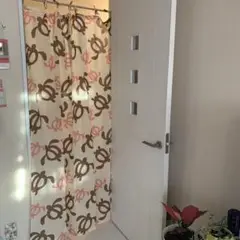 ✨ホヌ柄のれん✨
