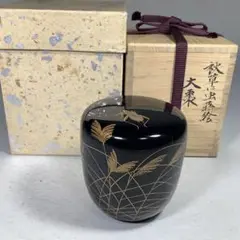 2025年最新】虫秋草蒔絵の人気アイテム - メルカリ