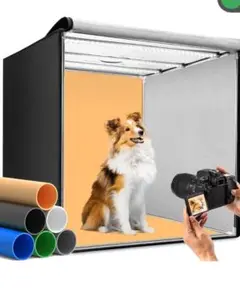 Item thumbnail for item 0c07f635-26c4-4cb8-9847-37fc1a4fef93