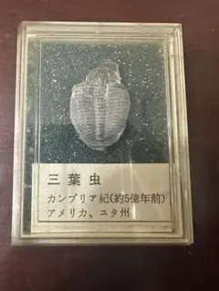 Item thumbnail for item ff29b375-fe35-49e1-bdf3-03db4270253a