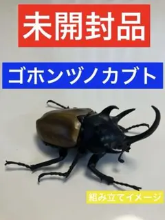 いきもの大図鑑 かぶとむし02 ゴホンヅノカブト【内袋未開封】