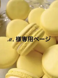 専用ページ