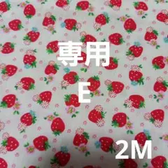 E 専用 生地　いちご