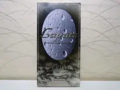⭐8㎝CD⭐ Laputa : ガラスの肖像