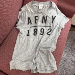 Abercrombie & Fitch AFNY 1892 Tシャツ S グレー