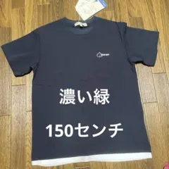 男児　LOGOS Tシャツ 濃い緑　150センチ　1枚
