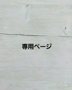 専用ページ