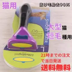 Item thumbnail for item 8c0c165c-c66b-4494-a04c-2122b42ef760