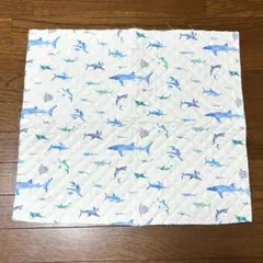 Item thumbnail for item 8e781af9-140f-4c53-971e-ab65d8b204a8