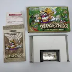 ワリオランドアドバンス ヨーキのお宝 ゲームボーイアドバンスソフト