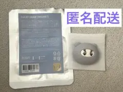 バーノン ミニティーン マグネット