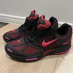 極美品 nike air pegasus 2k5 エアペガサス 2005 29