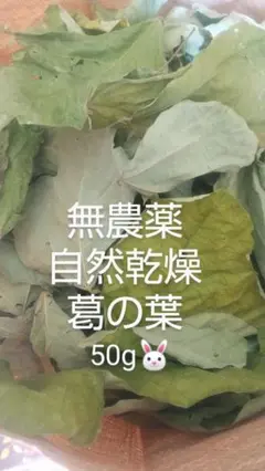 Item thumbnail for item dd3c21e9-ceea-4234-80cb-db00b5e3571b