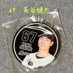 千葉ロッテマリーンズ　６７茶谷健太　つながるキーホルダー