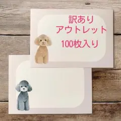 訳ありアウトレット　トイプードル　イラストカード　ブロックメモ　100枚入り