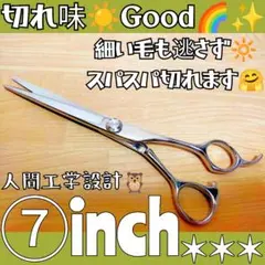 Item thumbnail for item 2bca83a1-ad0f-46b1-b615-83ffef730cc9