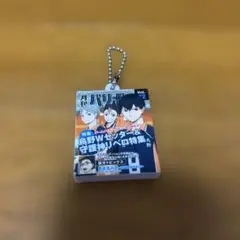 ハイキュー　キーホルダー　バリボー