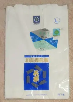 Item thumbnail for item 59d79c66-6c33-4829-a88f-be92f1fdf32d