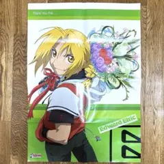 【訳あり】鋼の錬金術師　エドワードエルリック　ポスター