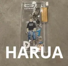 &TEAM HARUA ハルア D’PARTMENT アクリルキーリング