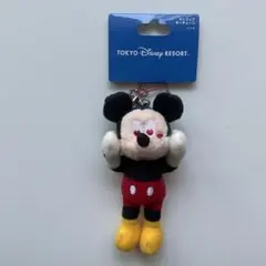 東京ディズニーリゾート　ミッキーマウス ぬいぐるみ キーホルダー