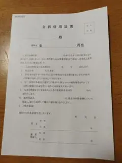 金銭借用書(2部)ネコポス発送