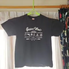 Golden Wind JOJO PART5 Tシャツ Lサイズ