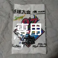 高校野球 第97回センバツ大会 全校名入りタオル