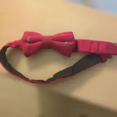 Item thumbnail for item 8eacbb8c-edcd-4741-8c5d-c78f0feb7ac5