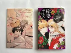 極妻デイズ 10巻 特典付き