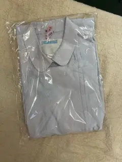 Item thumbnail for item 26718114-3f82-439d-84b3-af3dab92f90e