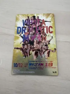 RIZIN ポテトスティック No.6