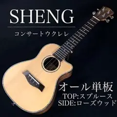 【激鳴り】スプルースu0026ローズウッド材のオール単板コンサートウクレレ【入門セット】