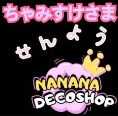 ちゃみすけさま おまとめ