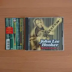 ジョン・リー・フッカー/ベスト・ブルース・マスターズVol.1