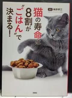 猫の寿命は、8割が"ごはん"で決まる!