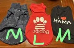 Item thumbnail for item 0a4fcafd-9696-4f0f-9924-048925aa231c