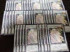 遊戯王 パーツ 40枚 ガーデンローズフローラ