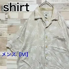 Item thumbnail for item 3a36ad3e-a556-444e-a508-59996078798c