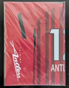 【即購入可】鹿島アントラーズ　ミニファイル　非売品