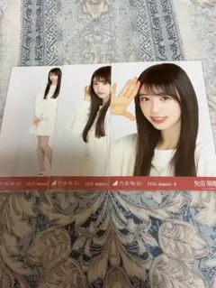乃木坂46 生写真　矢田萌華