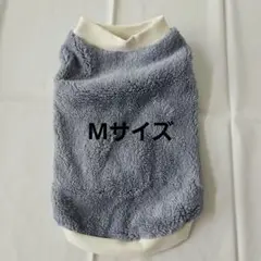 Item thumbnail for item 0ddd3253-9e79-43b4-8aab-2e094b7d5019