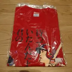 堂林翔太選手のTシャツ〖Mサイズ〗 広島東洋カープ 堂林翔太 Tシャツ 13番 | amazing31