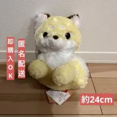 ちょコンと九尾さま 神の御前JB こはくとう